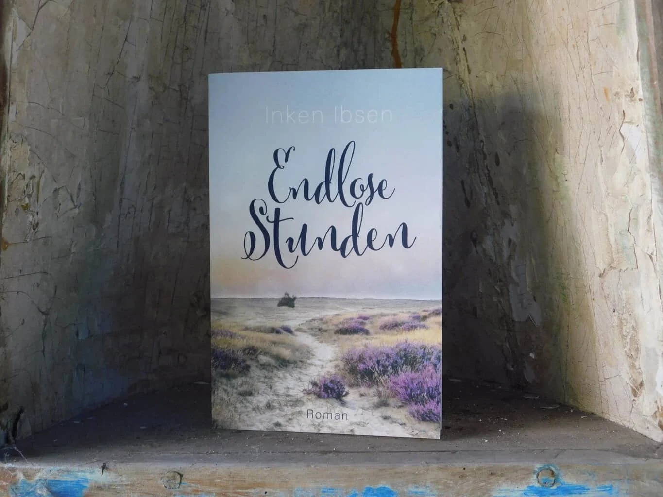 Buchcover: Endlose Stunden von Inken Ibsen - Autorin aus dem Norden